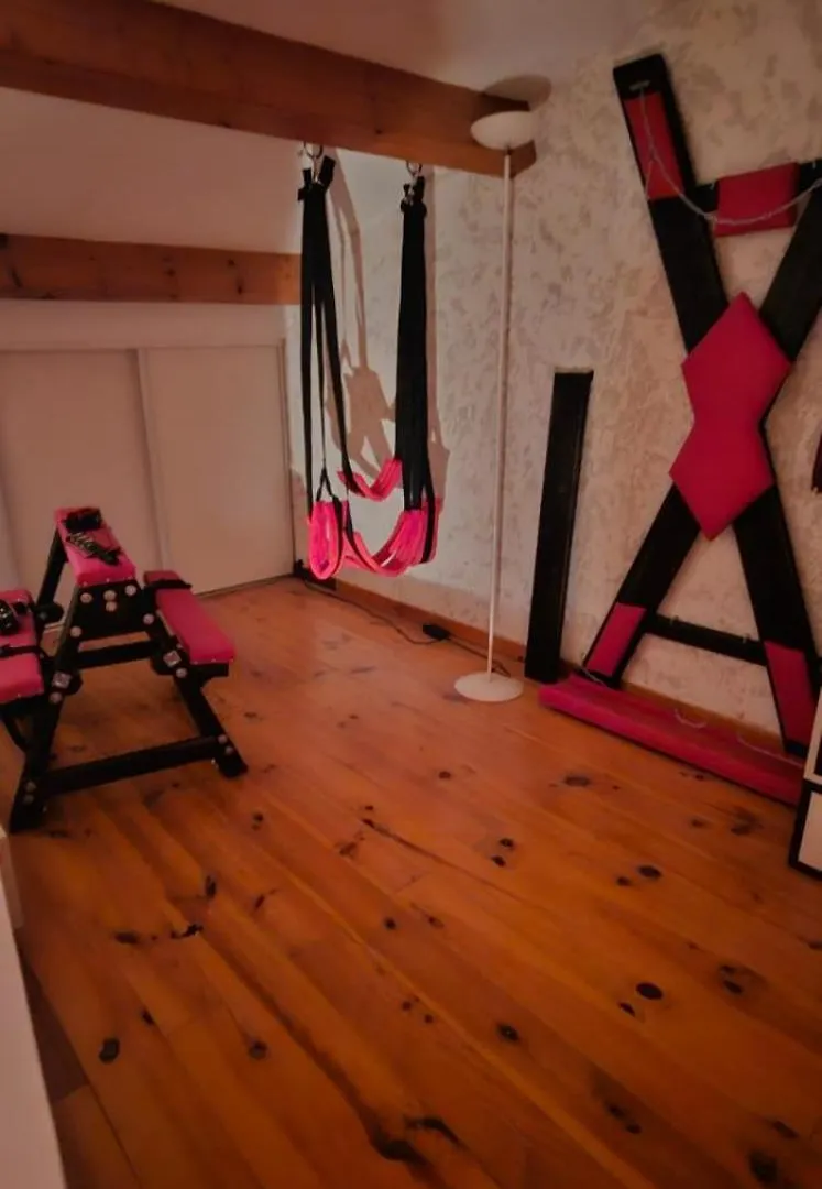 Apartment Duplex Love Room & Spa Tourves France